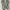 New Balance Streetwear Sportswear Sneakers Pria gray cream photo 7