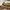 Saxophone Puddeo Custom Set photo 7