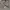 celpen nike worsh photo 2