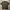 Carhartt Streetwear Polo shirt Pria green photo 1