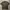 Carhartt Streetwear Polo Shirt Pria Green
