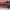 Electric Guitar Gillmore, Black, Original Bekas Pre-Owned