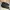 Nevada Casual Sandals & slide Wanita tan black photo 3
