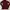 Red Longsleeve Turtle Neck