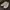 Compass Streetwear Indie Sneakers Pria cream photo 1