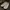 Compass Streetwear Indie Sneakers Pria Cream