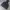 The North Face Gorpcore Casual Track Jacket Pria White Black
