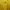 Casual Casual shirt Pria yellow photo 2