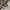 Converse Indie Casual Sneakers Pria white black photo 2