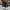 Converse Indie Casual Sneakers Pria white black photo 5