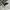 Converse Streetwear Skater Sneakers Pria white black photo 2
