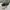 Converse Streetwear Skater Sneakers Pria white black photo 1