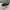 Converse Streetwear Skater Sneakers Pria White Black