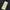 TROUSERS PANTS CUTBRAY photo 4