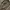 NEIGHBORHOOD Japan Camouflage Cargo Shortspants photo 6