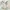 Michael Klein Fairy Coquette Blouse Wanita cream photo 1