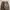 Bobson Carpenter Double Knee Pant photo 2