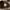 Bobson Carpenter Double Knee Pant photo 9