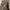 Bobson Carpenter Double Knee Pant photo 3