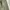 Dickies Casual Casual pants Pria green photo 5