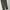 Dickies Casual Casual pants Pria green photo 2