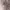 Fendi Luxury Minimalist Shoulder bag Wanita gold black photo 4