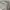Minimalist Muslim Wanita cream photo 2