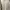 Minimalist Muslim Wanita cream photo 1