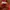 Dress Tutu Cheongsam Anak Perempuan photo 3