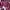 Pull & Bear Vintage Skater Hoody Wanita Burgundy