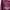 Pull & Bear Vintage Skater Hoody Wanita burgundy photo 6