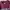 Pull & Bear Vintage Skater Hoody Wanita burgundy photo 3