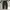 Uniqlo Minimalist Formal pants Pria black gray photo 4