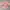Top Offshoulder Baby Pink