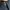 Dickies Minimalist Formal pants Pria navy photo 6