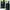 Ppfm wusten fuchs graphic long sleeve t shirt  photo 4