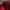 Casual Cardigan Wanita burgundy red photo 3