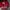 Casual Cardigan Wanita burgundy red photo 1