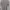 Baju Live Haf abu-abu pria kerah Shanghai | Live Haf size XL photo 3
