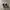 Nike Streetwear Sportswear Sneakers Wanita white black photo 5