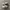 Nike Streetwear Sportswear Sneakers Wanita white black photo 1