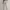 Casual Casual trouser Wanita white photo 1
