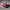 New Balance Sportswear Casual Sneakers Pria multicolor photo 5