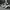 Adidas Casual Sneakers Pria multicolor photo 3