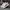 Adidas Casual Sneakers Pria multicolor photo 2