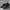 Adidas Sportswear Casual Sneakers Pria black photo 2