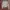 Karen Millen Biker Casual Leather jacket Wanita cream photo 7