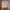 Karen Millen Biker Casual Leather jacket Wanita cream photo 5