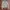 Karen Millen Biker Casual Leather jacket Wanita cream photo 1