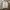 Loewe Casual Hoody Pria white tan photo 1